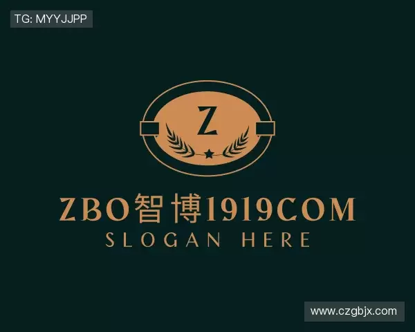 解读zbo1919