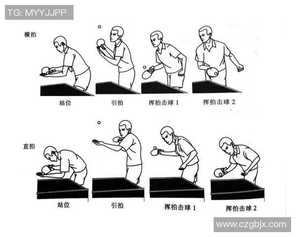 杭州乒乓球队的节奏分析与未来发展趋势探讨