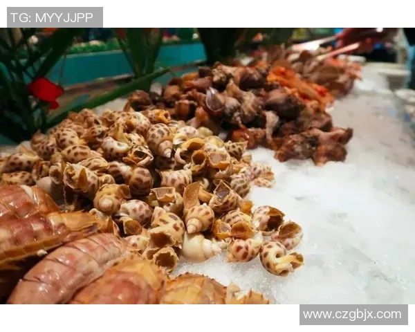 当足球明星光临某家饭店引发的美食盛宴与粉丝狂欢的故事 当足球明星光临某家饭店引发的美食盛宴与粉丝狂欢的故事