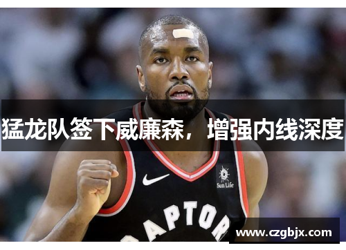 猛龙队签下威廉森，增强内线深度